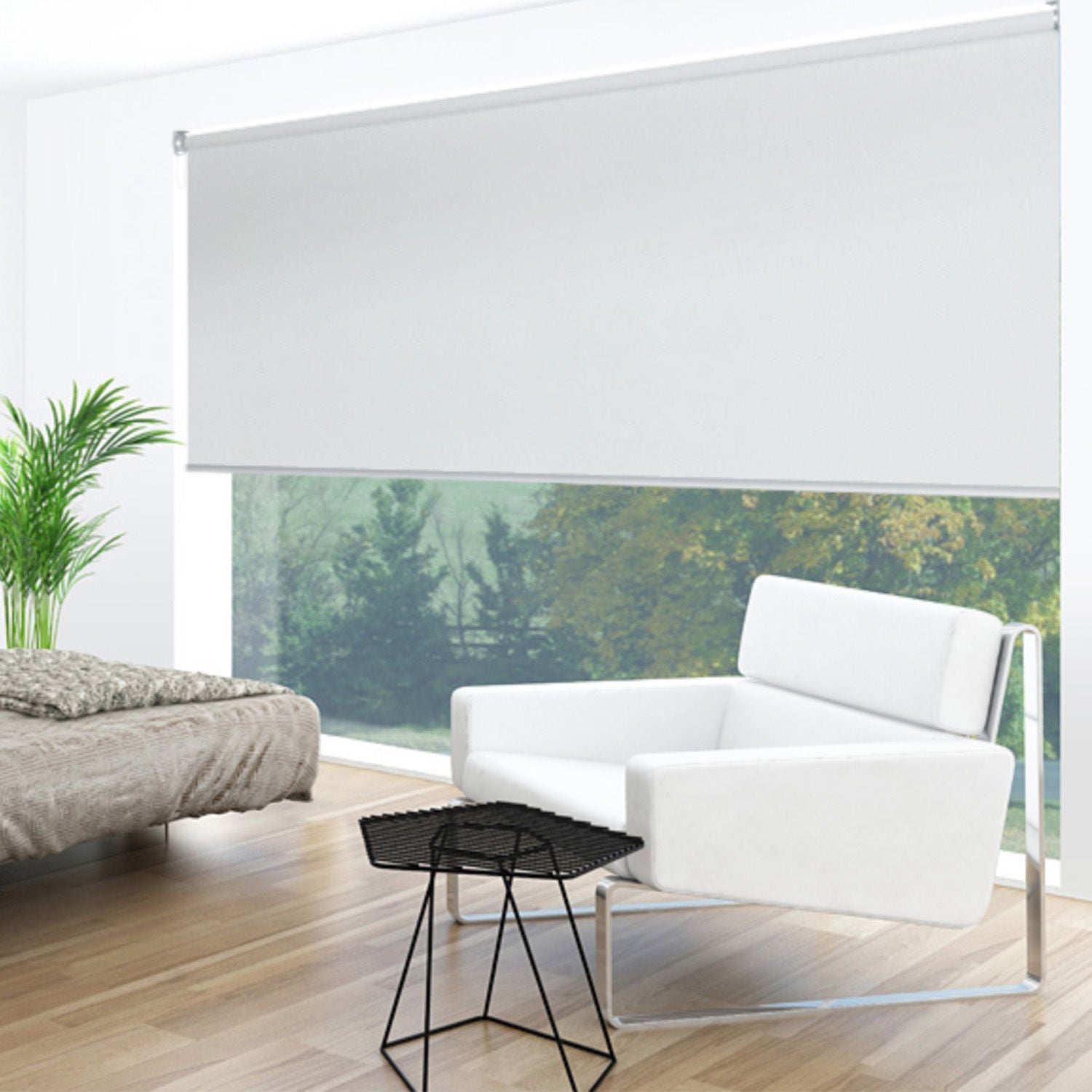 Uniline Dawn Arum Blockout Roller Blinds - EZ BLINDS